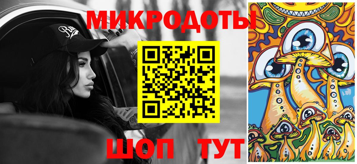 Галлюциногенные грибы Psilocybine cubensis Кузнецк