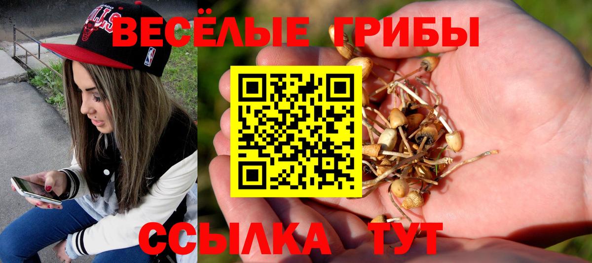 Кузнецк  Галлюциногенные грибы мухоморы  Псилоцибиновые грибы Magic Shrooms  Вход с VPN 